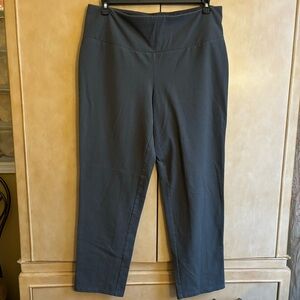 Women with Control Pants with Back Seams Grey 1X